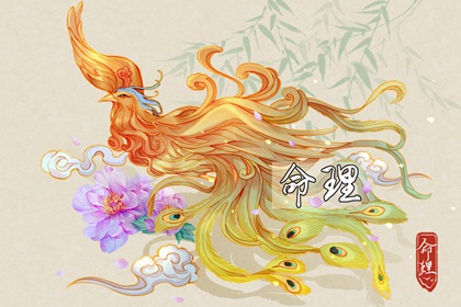 日历万年历_日历表年_日历2026年吉日