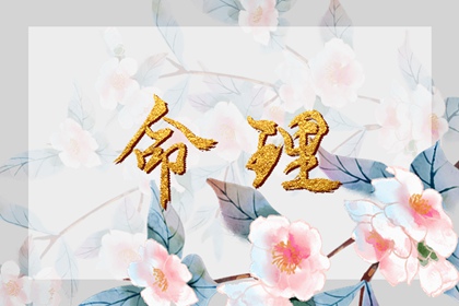 日历全年黄道吉日|日历表2026年黄道吉日|黄道吉日网